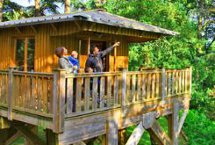 Alojamientos insólitos Casita en los árboles